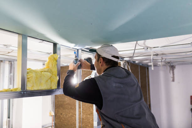 Eco-Friendly or Green Insulation Solutions in Custer, SD